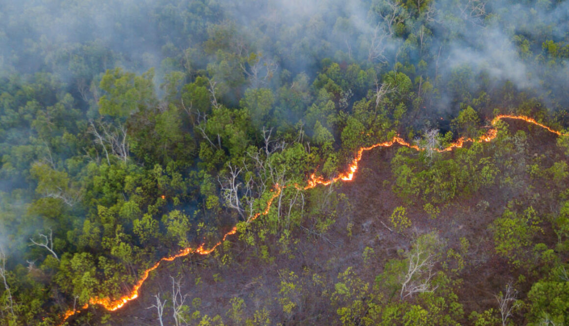 High Angle View Of Forest Fire