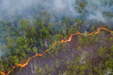 High Angle View Of Forest Fire