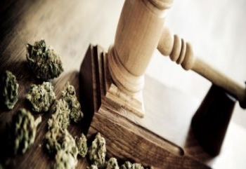 Cannabis law image LG