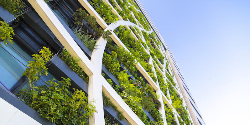 Detail from a living wall